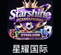 星耀国际
